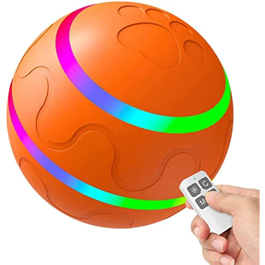 566414231