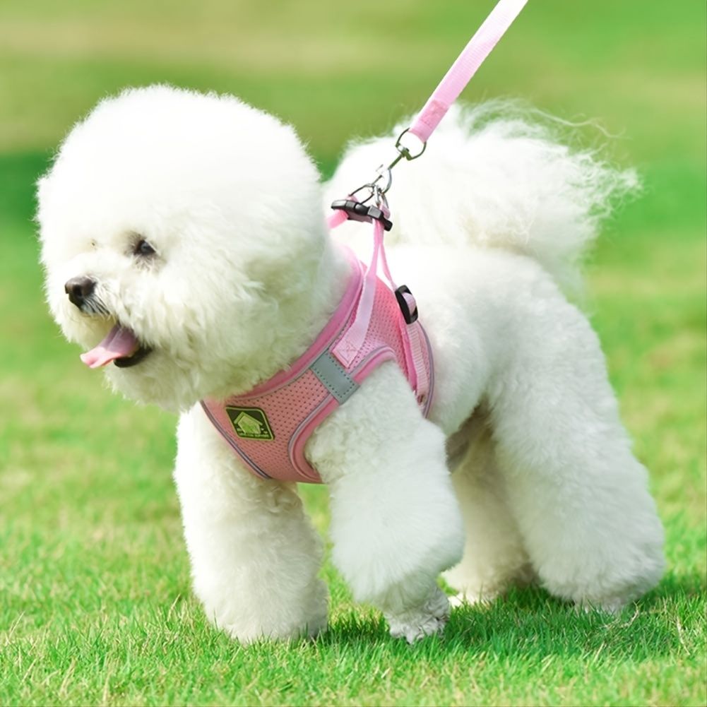567334611